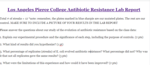 Los Angeles Pierce College Antibiotic Resistance Lab Report